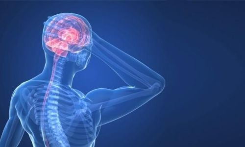 l-attivita-fisica-affatica-il-cervello