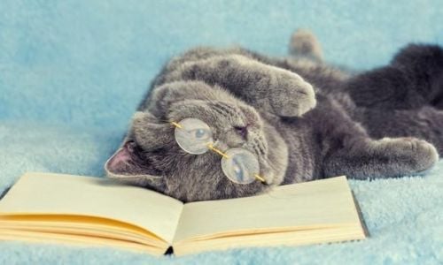 _cattive-abitudini _stanchezza-e-cattivo-umore