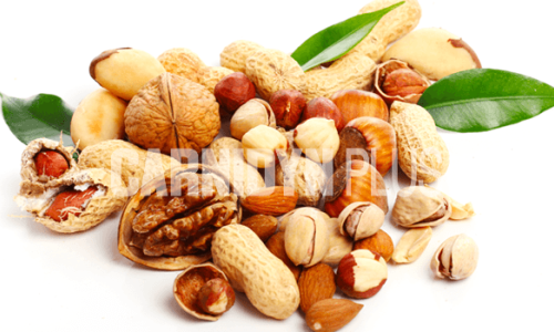 Frutta secca e semi per un pieno di energia