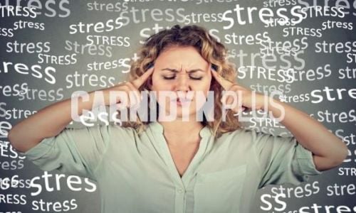 Lo stress influisce sul cervello