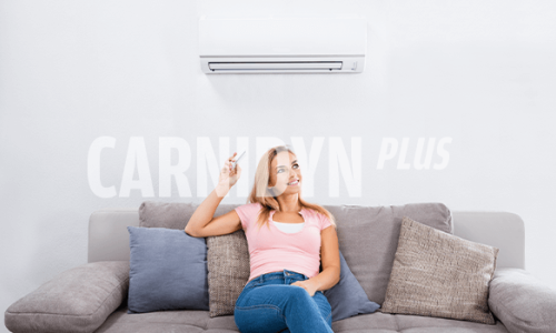 Aria condizionata non ti temo