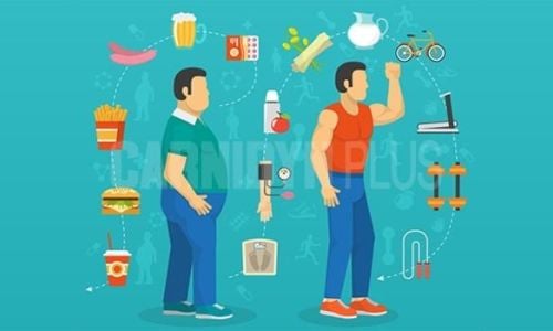 metabolismo-nutrizione metabolismo-nutrizione