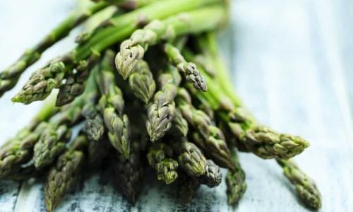 L asparagina e L carnosina