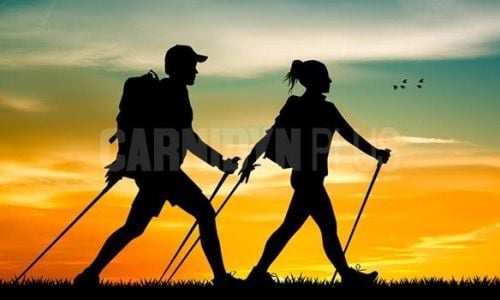 camminata_veloce_15minuti