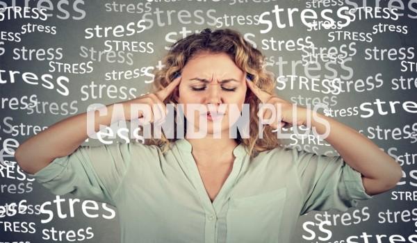 Lo stress influisce sul cervello