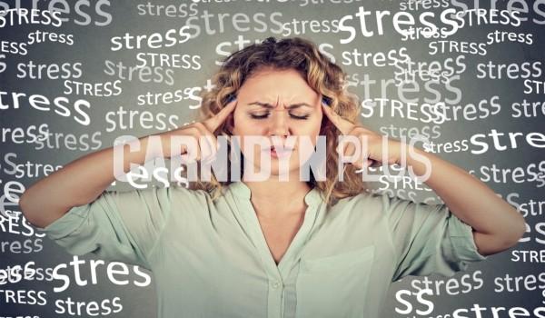 Lo stress influisce sul cervello